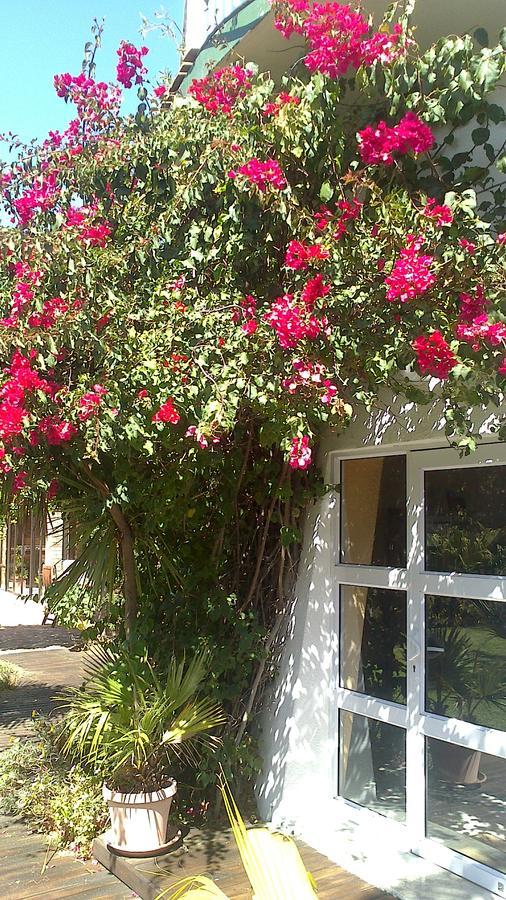 Cape Oasis Guesthouse Bloubergstrand Zewnętrze zdjęcie
